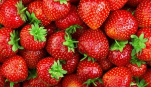 Lee más sobre el artículo Fresas, sepa por qué debería consumirlas en la dieta Fit6